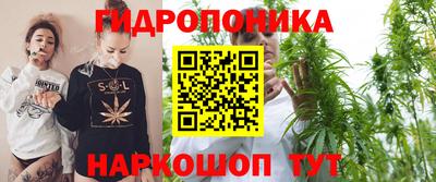 индика Старая Купавна